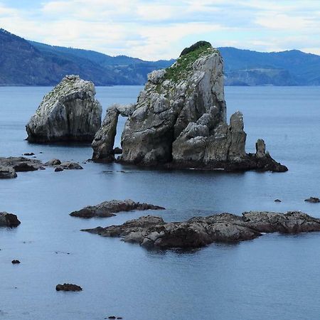 Apartamntos Urdaibai 3 Bermeo Eksteriør billede